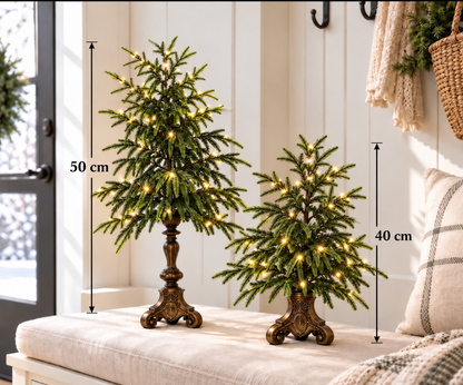 🎄🌙Vintage Lighted Norfolk Pine Trees