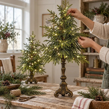 🎄🌙Vintage Lighted Norfolk Pine Trees