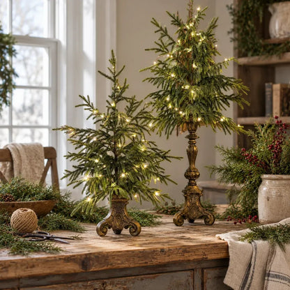 🎄🌙Vintage Lighted Norfolk Pine Trees