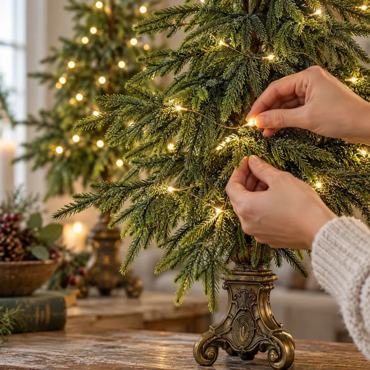 🎄🌙Vintage Lighted Norfolk Pine Trees